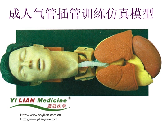 ���˚�ܲ��Ӗ������ģ��