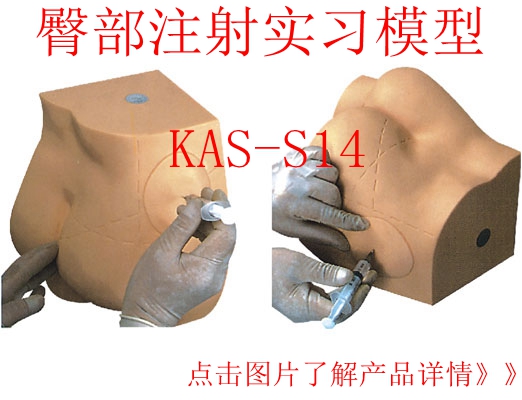 �β�ע����ʾģ��