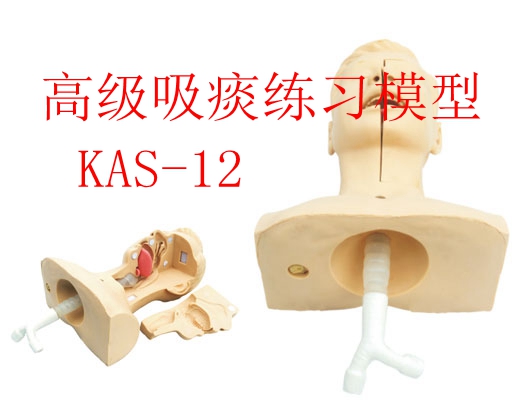 �t�W�̌Wģ��