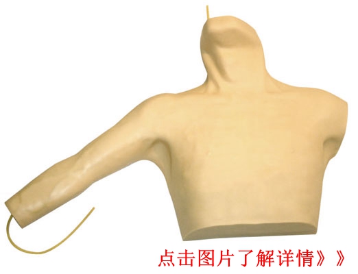 �����o�}���̲��ģ��