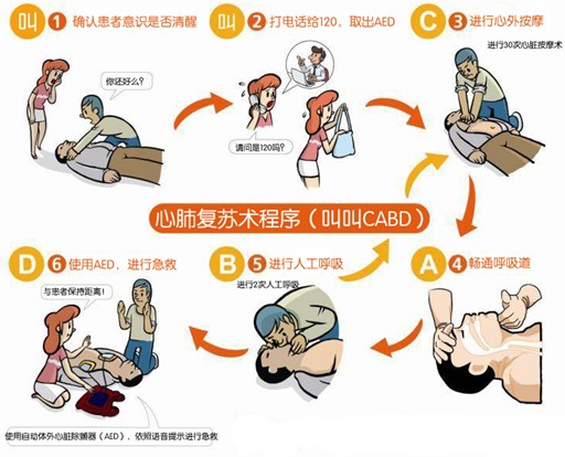 急救訓(xùn)練《心肺復(fù)蘇五步操作流程》
