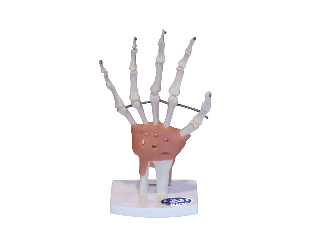 ���P(gu��n)��(ji��)