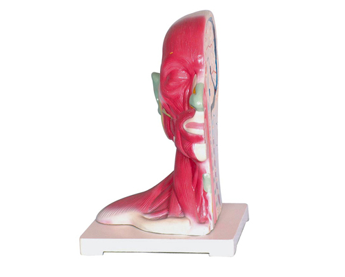 �^�����i���ֽ�