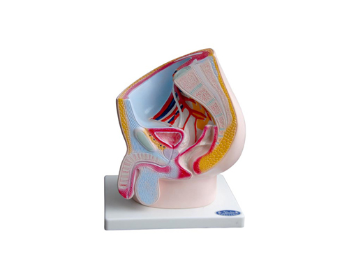 ������ǻʸ������