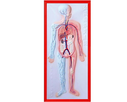 ѭ�h(hu��n)ϵ�y(t��ng)����ģ��