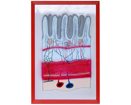 �������Ŵ󸡵�ģ��