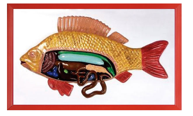 �~���ʸ���ģ��