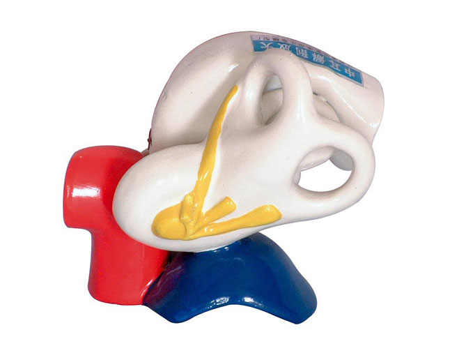 �ж����ʷŴ�