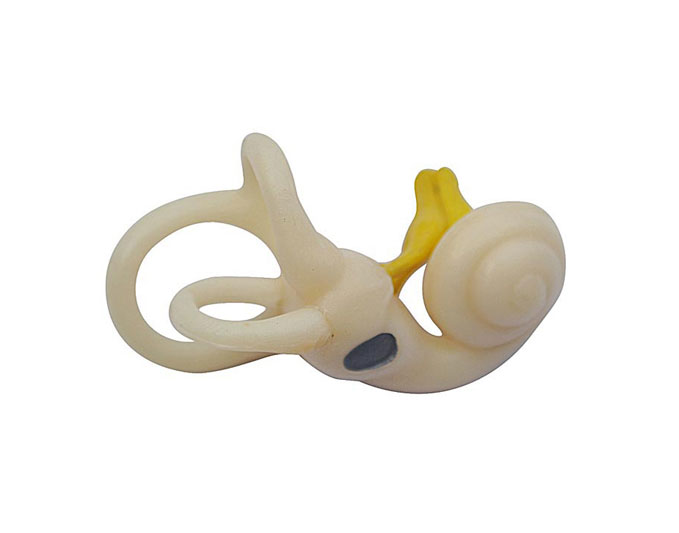 ��(n��i)����·