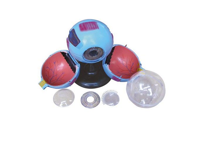 ������ʷŴ�