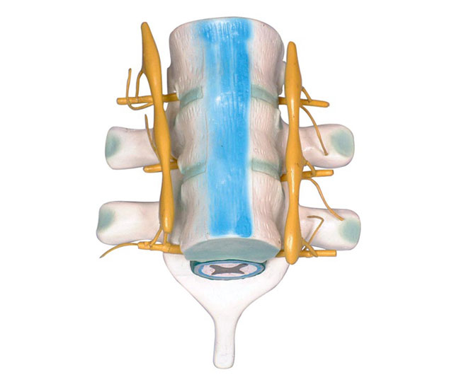 ����ͼ���(j��ng)