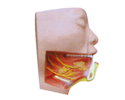 ���M�����ǽ���ģ��