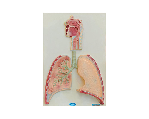 ����ϵ�y(t��ng)���^