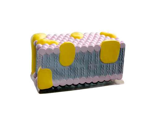 ����Ĥ�Ŵ�