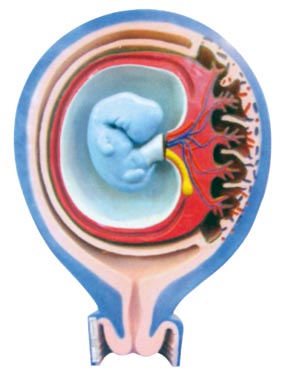 ̥��̥Ĥ�c�ӌm���P(gu��n)ϵ��1������