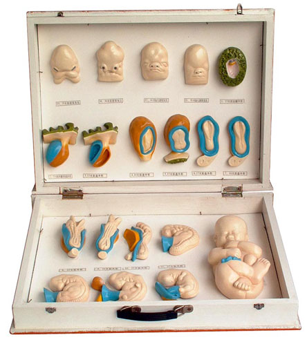 ̥�����μ��沿�l(f��)����1�У�