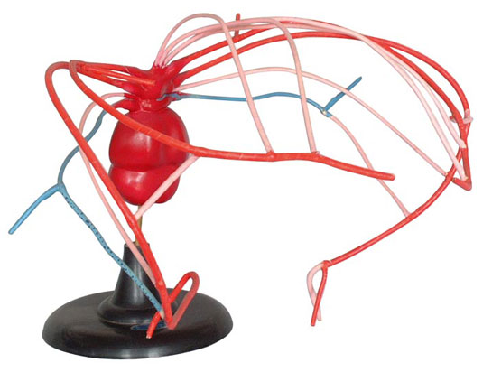 �����}��׃