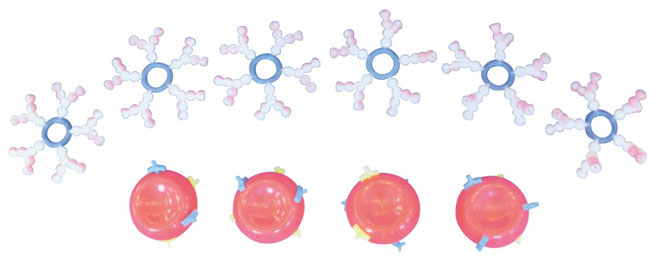 ABOѪ����ʾģ�ͣ�10������