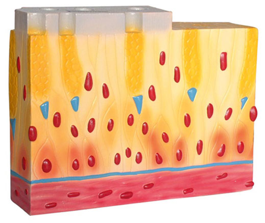 ��?g��u)?f��)���wë������Ƥ�M��