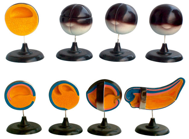 ����̥�l(f��)���^(gu��)�̣�13���� 