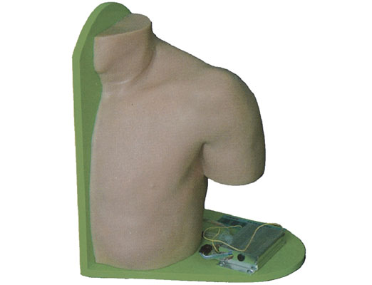 �����o�}ע�䴩���|��Ӗ(x��n)��ģ��