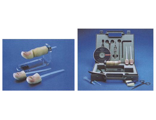 �μ��gӖ��������