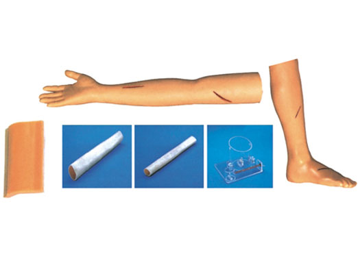 ��ƾC�ϼ���Ӗ���M��ģ��