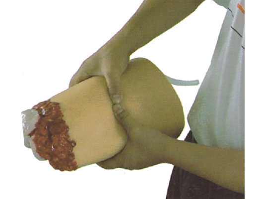 ��֫�����ֹ֫Ѫģ��