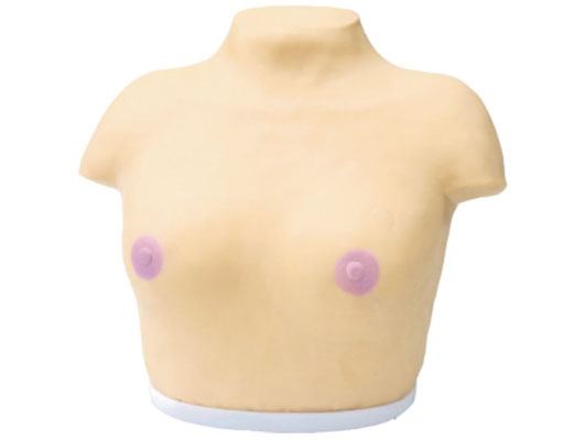 �߼�(j��)����ҕ�\�c�|�\ģ��