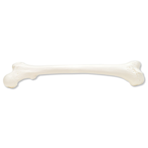 ��������