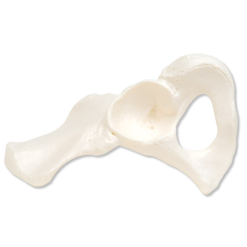 �y������