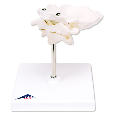 ��������Ƭ�ĭh(hu��n)׵�͘�׵�M�ϣ����ڿɲ�ж����