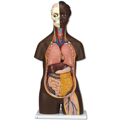 �������|�ɣ��o(w��)�ԣ�14����