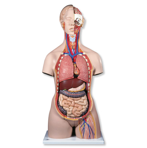 ���A�̓����|��ģ�ͣ����_(k��i)�ţ�28����