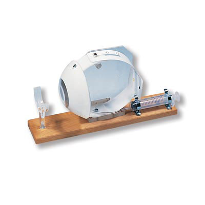 ������ģ�͡��sС��