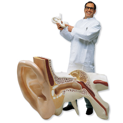 ȫ�����Ķ�ģ�ͣ������15����3����