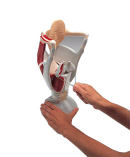 �����ʺ��������4��