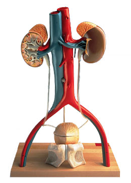 ��������ϵ�y��Ӽ�ģ��