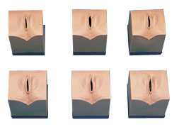 �����^��ģ�M