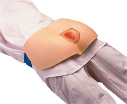 �쯏�ί��o��ģ�M