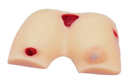 �쯏�o��ģ�Mģ��