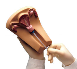 �m�ȱ���������ģ��