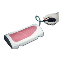 �������̉|