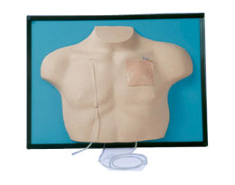 �����o�}�Ȳ��ģ��