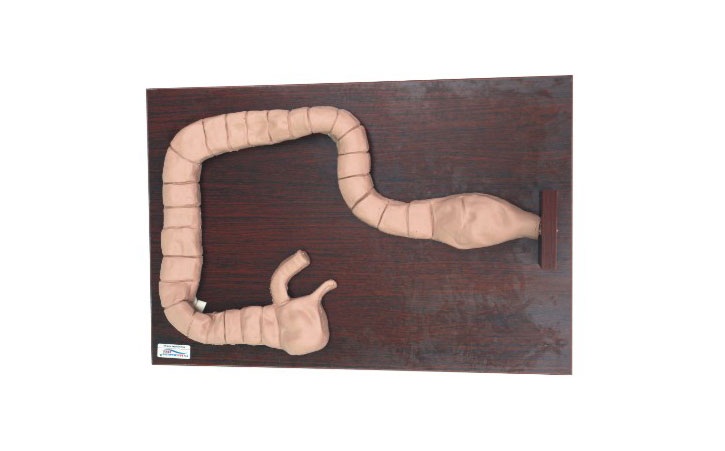 �ķΏ��Kģ�M��