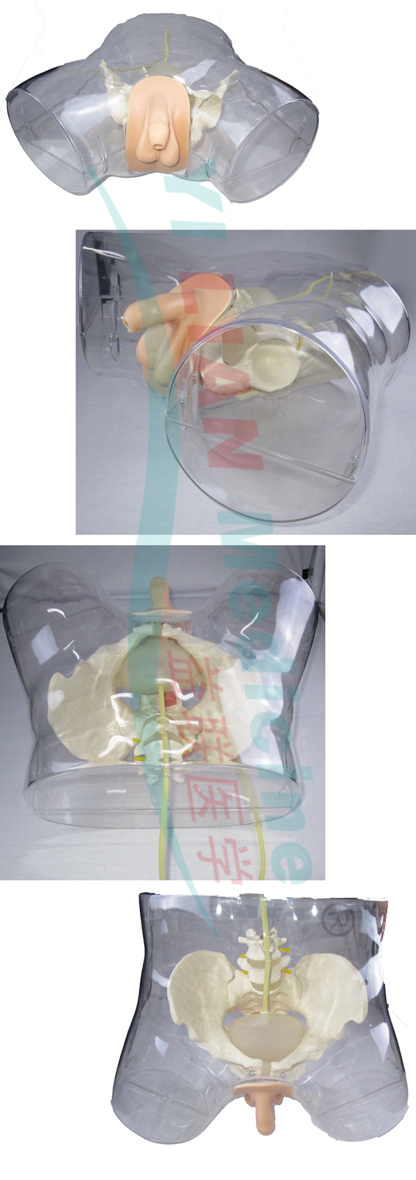 �߼�͸�����Ԍ�(d��o)��ģ��