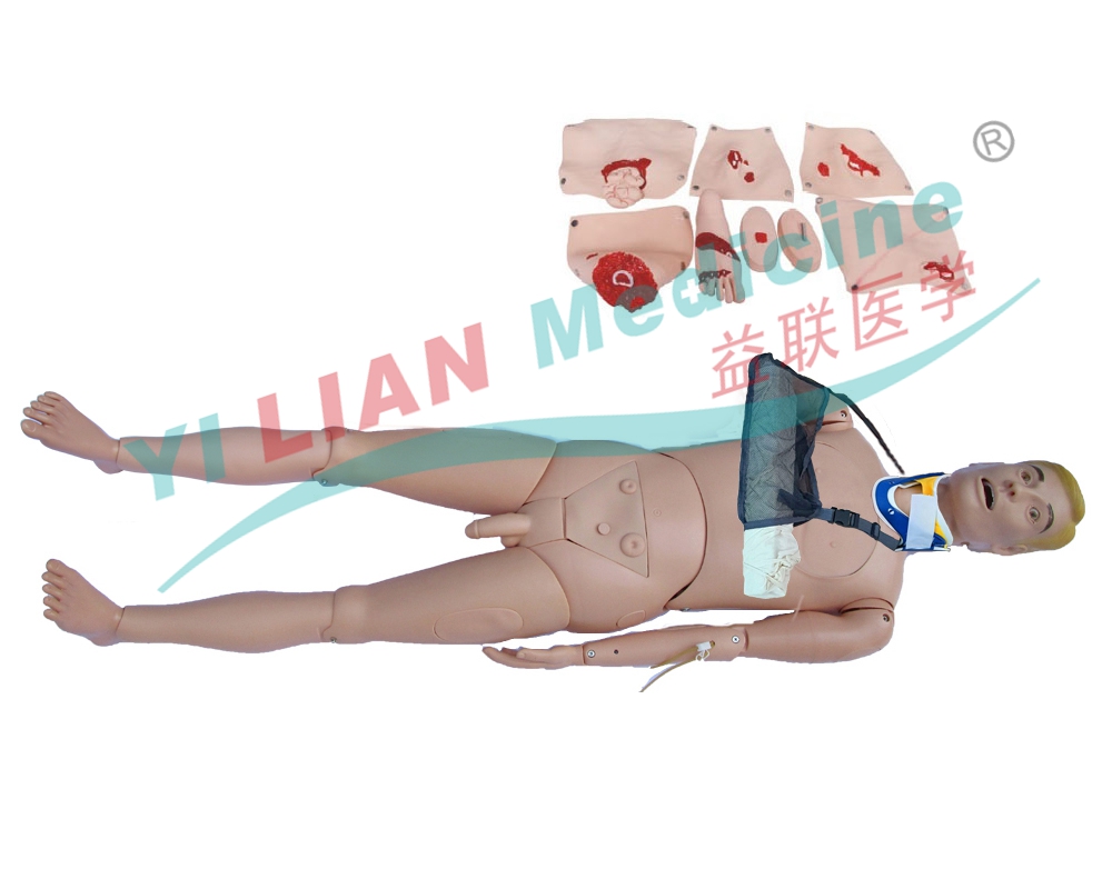  �挍(sh��)�w��Ұ��(zh��n)���A(ch��)����ģ�M��