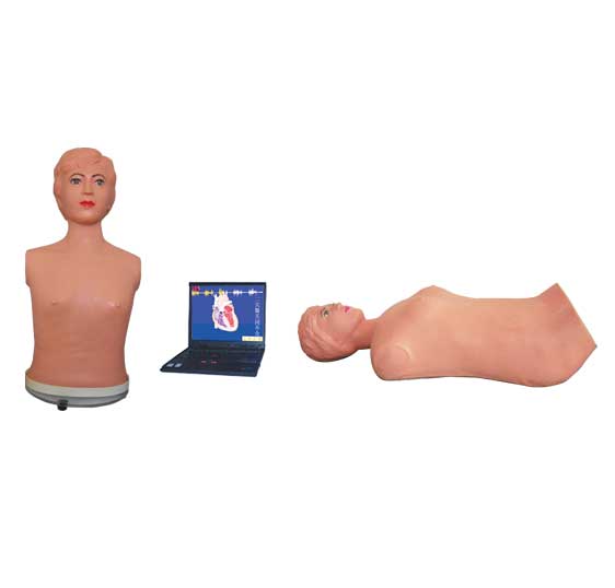 �o(w��)���W(w��ng)�j(lu��)��ý�w�ظ����z��̌W(xu��)ϵ�y(t��ng)(�̎��C(j��))