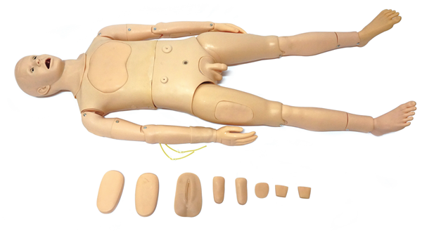 �߼�(j��)���w��ǻ��̵���o(h��)��ģ����