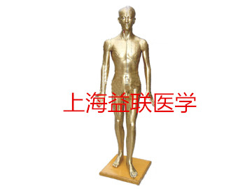 �t�W�̌Wģ��